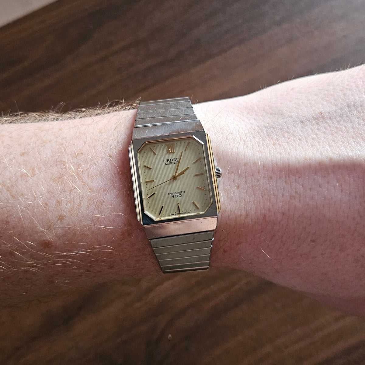 Vintage Orient Swimmer 100 Mens Dive Watch - C252M5-49 - 1985